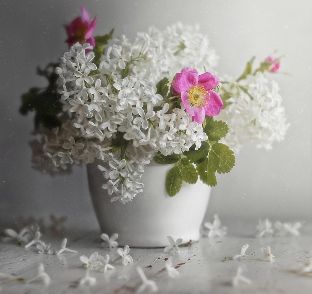 Photograph by Svoboda Andreeva