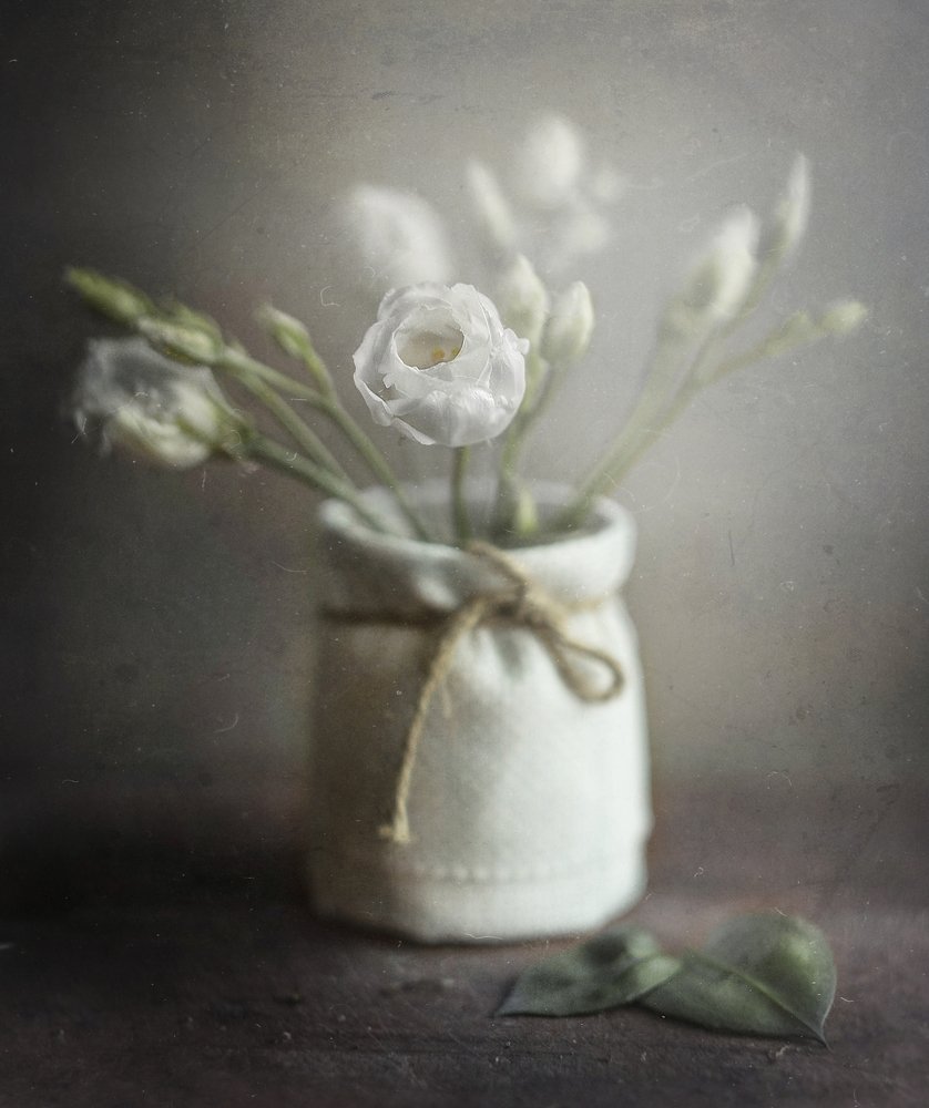 Photograph by Svoboda Andreeva