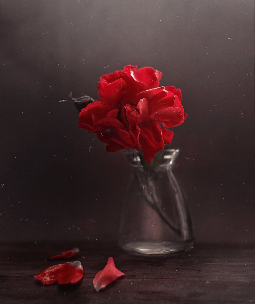 Photograph by Svoboda Andreeva