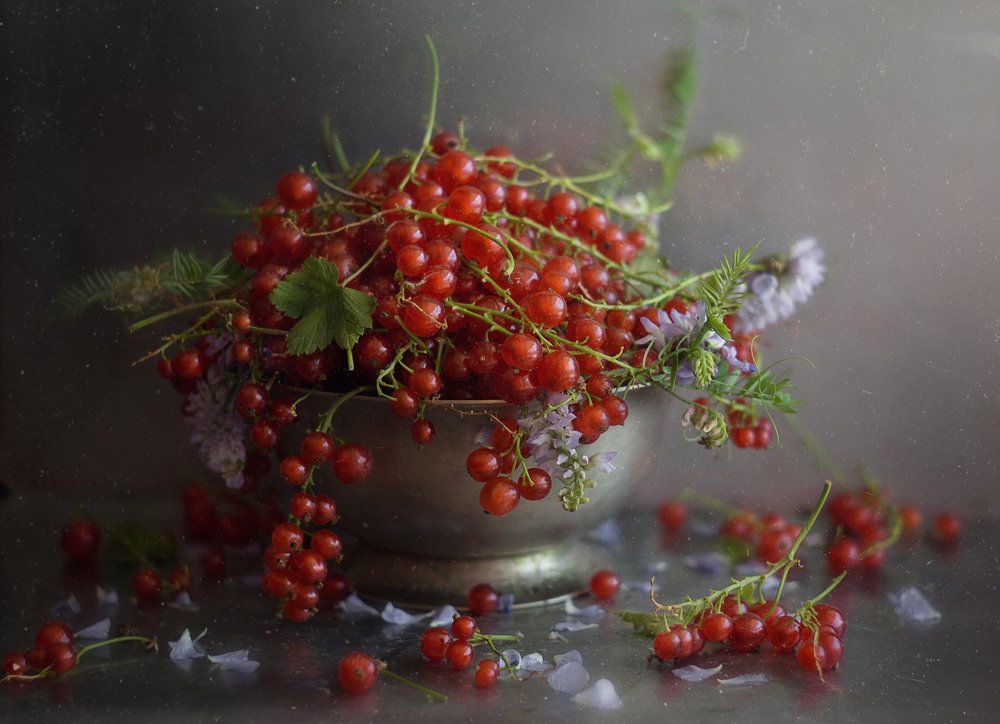 Photograph by Svoboda Andreeva