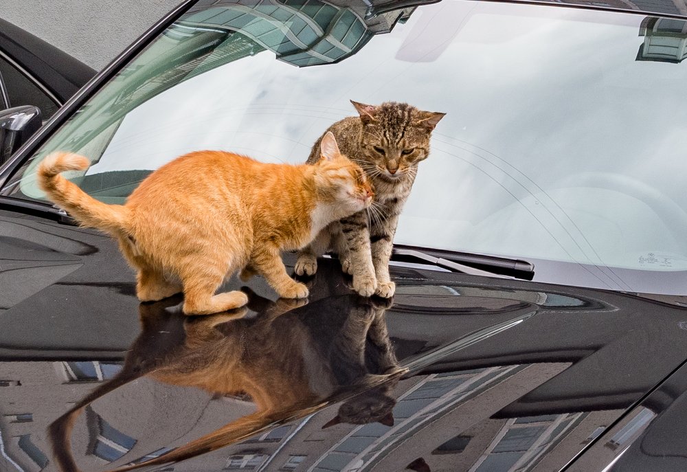 Photograph by Курлянцев Алексей