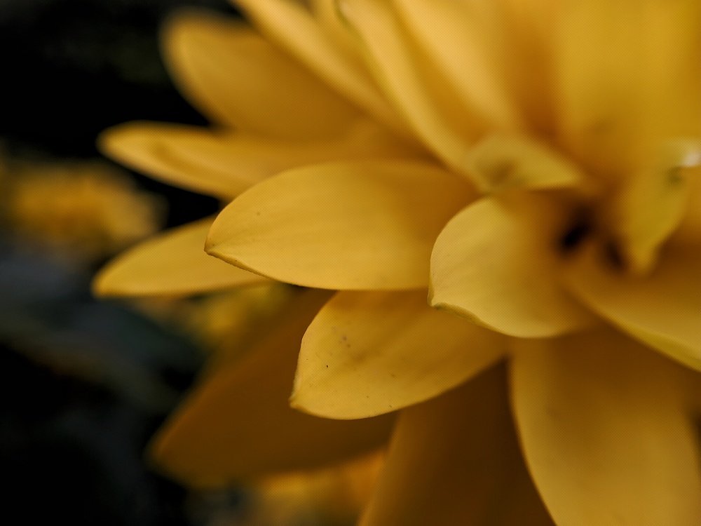 Photograph by Наиль Шакиров