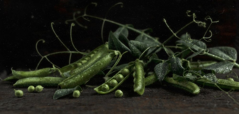 Photograph by Svoboda Andreeva