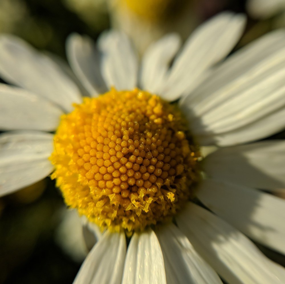 Photograph by Наиль Шакиров