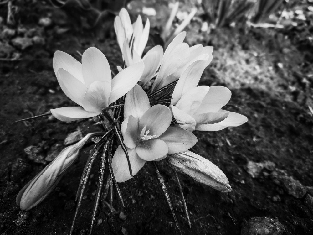 Photograph by Галина Литвинова