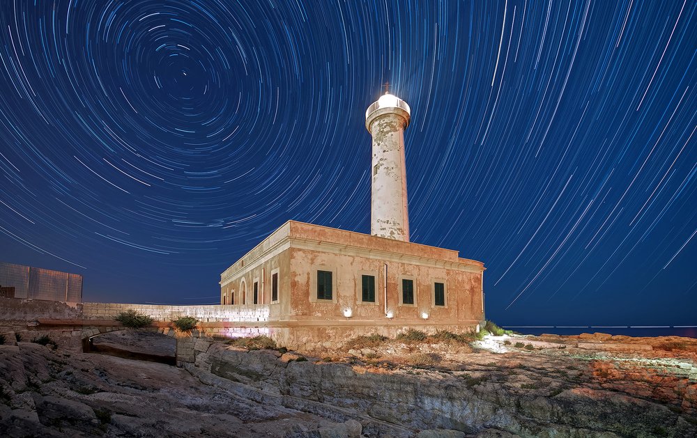 Photograph by Enrico Luzi