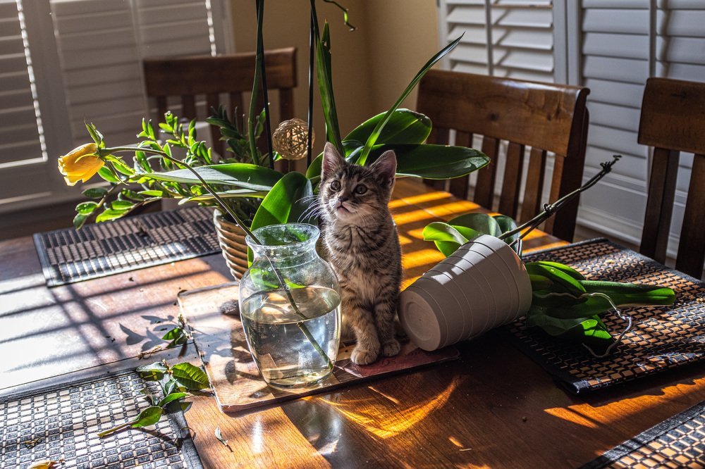 А я что? я ничего)