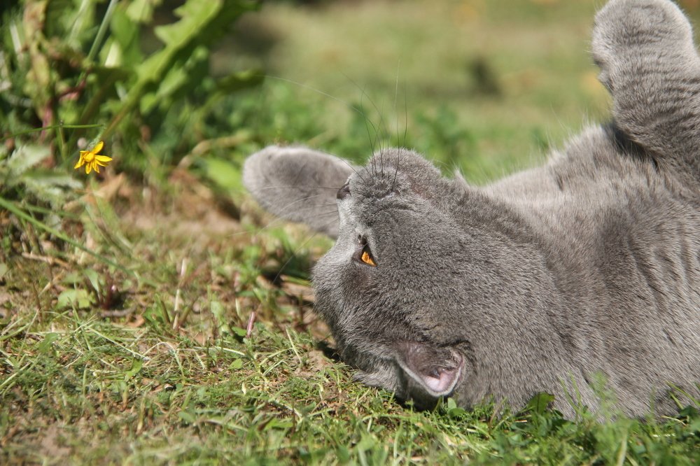 Photograph by Елена Копейкина