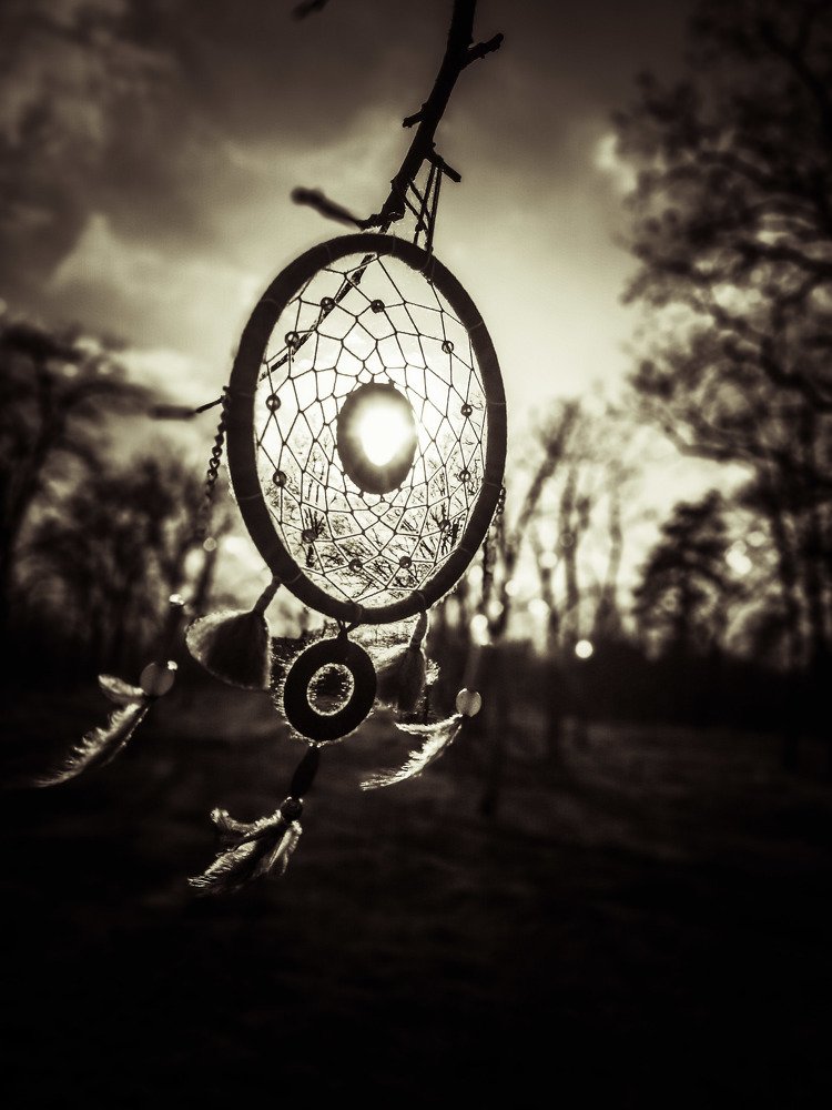 Photograph by Галина Литвинова