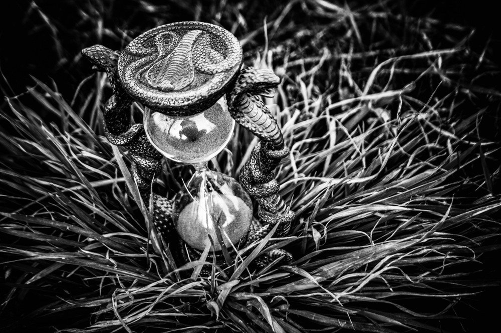 Photograph by Галина Литвинова