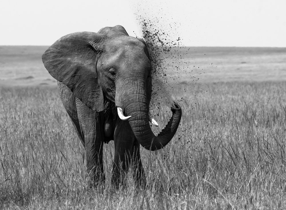 Photograph by Vignesh Ramachandran