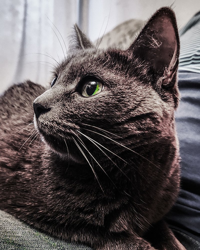 Photograph by Татьяна Чернышова