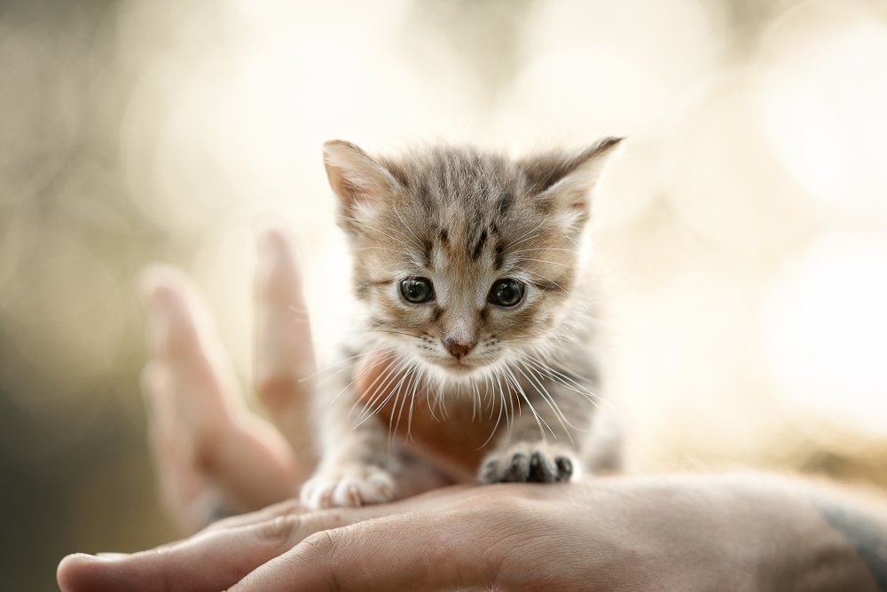 Photograph by Динара