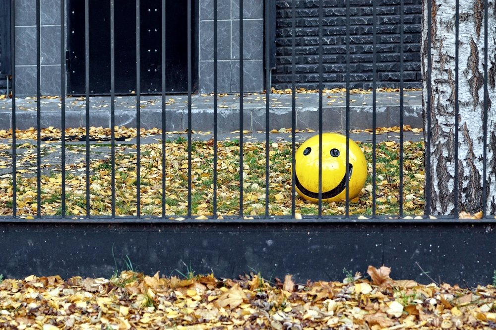 Photograph by Евгений Жиляев