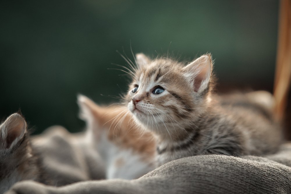 Photograph by Динара