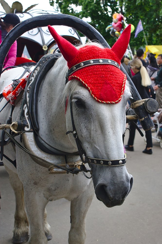 Красная шапочка