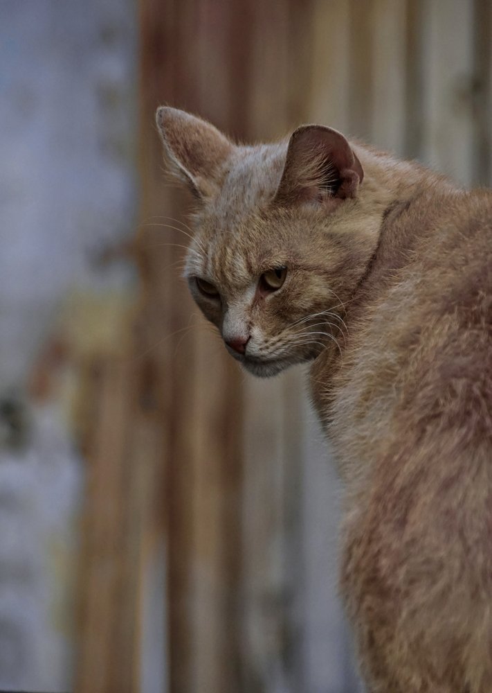 Photograph by Евгений Жиляев