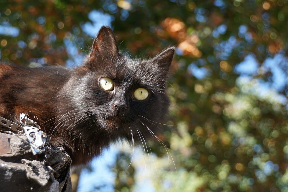 Photograph by Евгений Жиляев