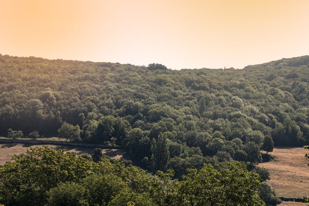 Photograph by Natalja Mountian