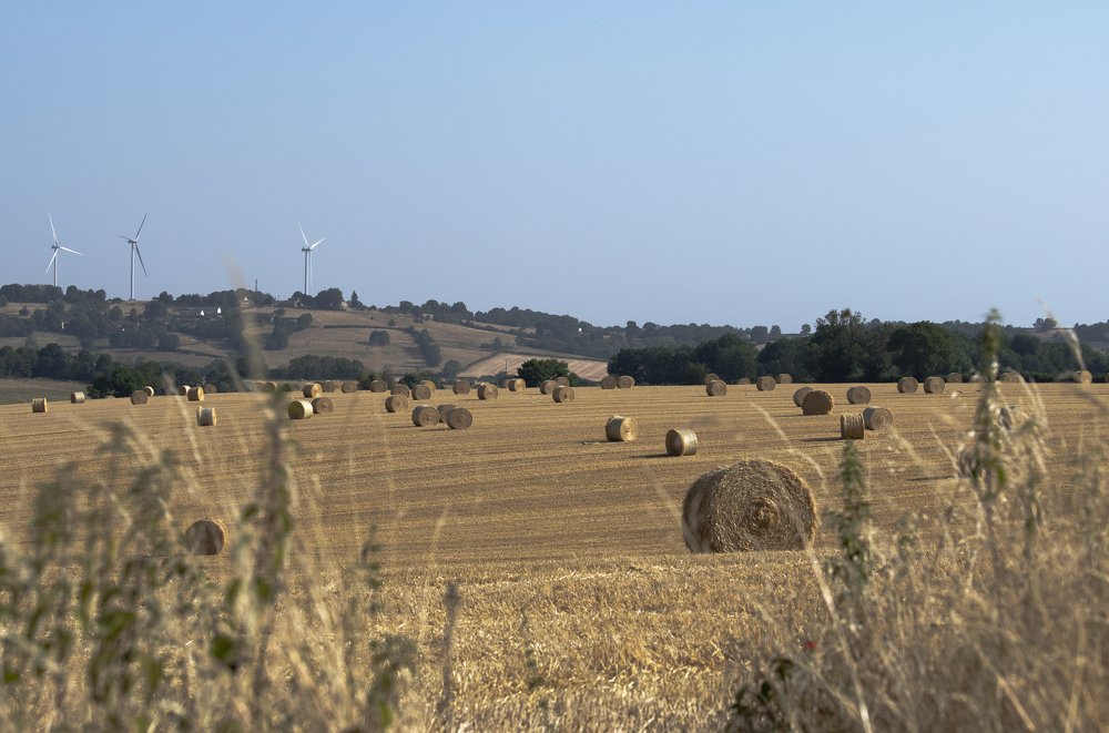 Photograph by Natalja Mountian