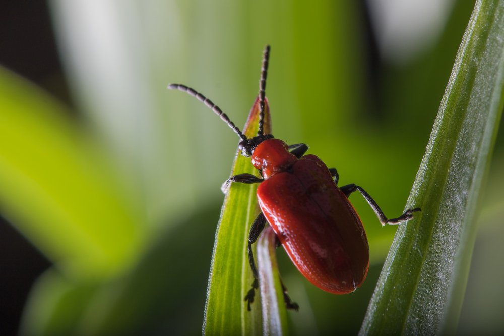 Photograph by Александр Рындин