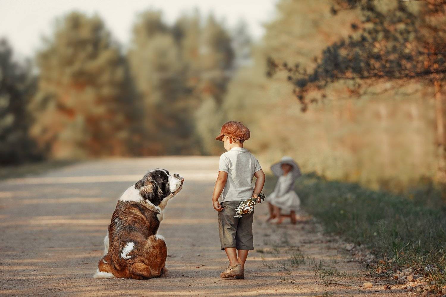 Фотография #3603381