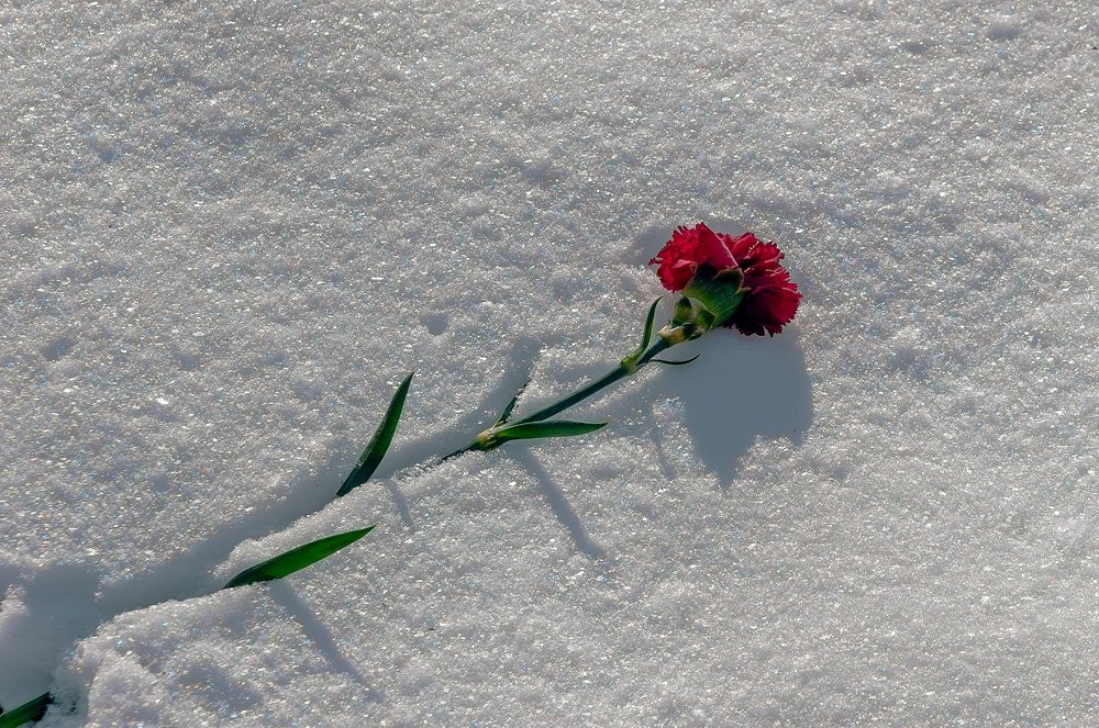 Photograph by Валерий Клейменов