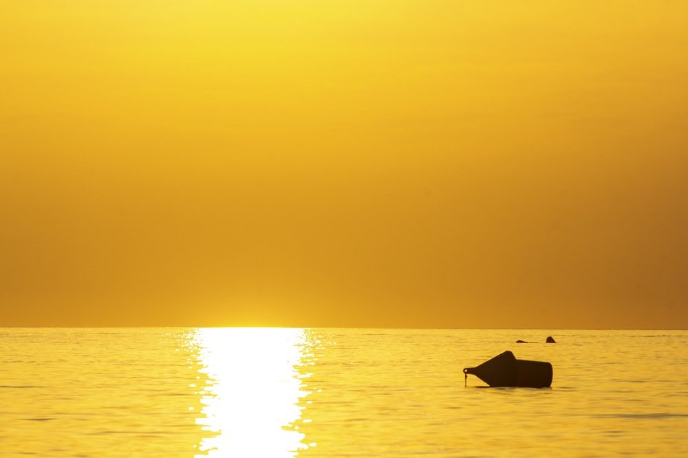 Фотография автора Lujza Stoklas