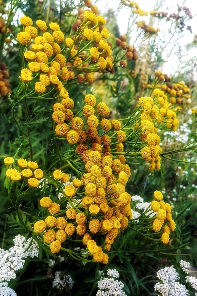 Photograph by Marcin Sokolowski - maarew