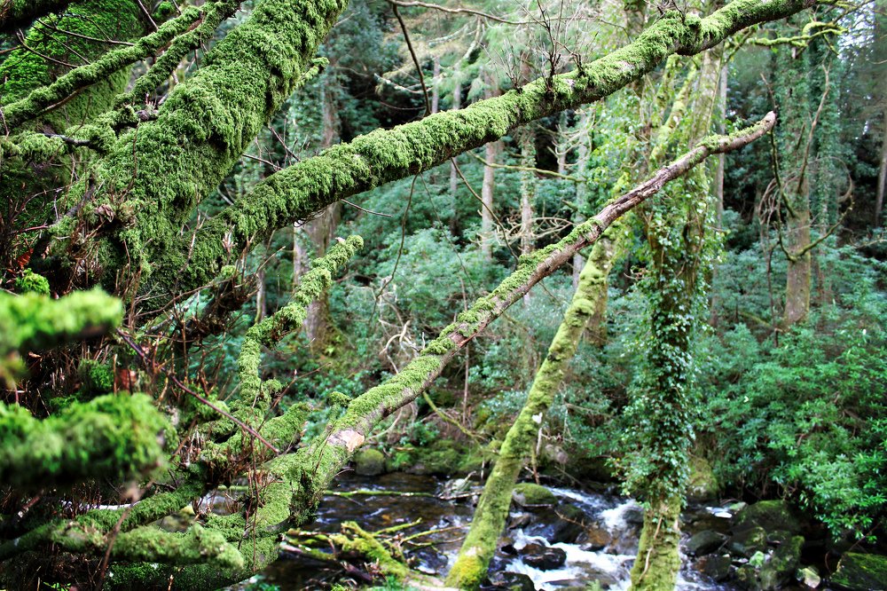 Photograph by Irina Radzinskaya