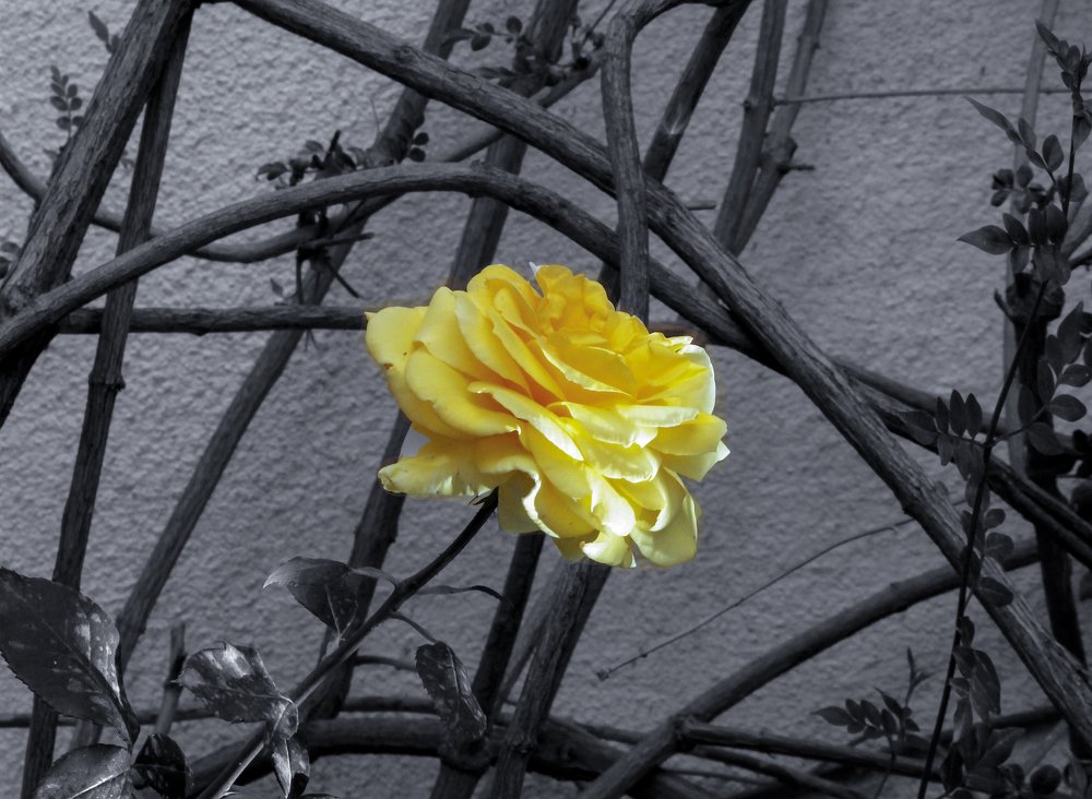 Photograph by El Haddi Yousfi