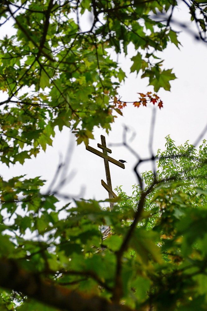 Photograph by Евгений Жиляев