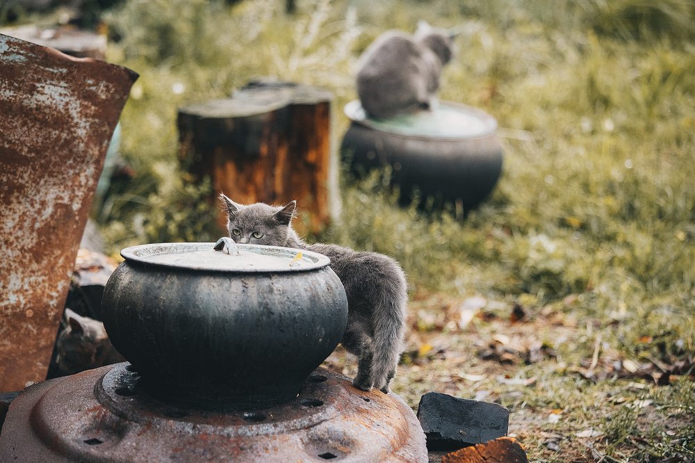 Photograph by Евгений Гаврилов