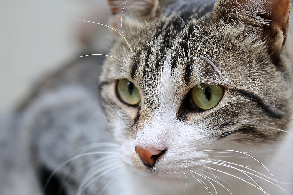 Photograph by Александр Цабель