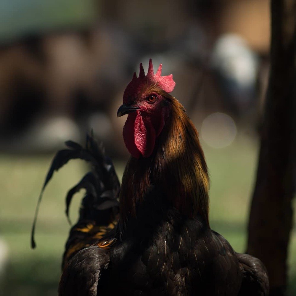 Photograph by Сергей Белоусов