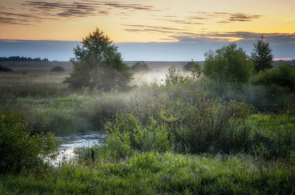 Над рекой рассвет встает