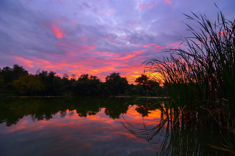 Photograph by Захаров Владимир