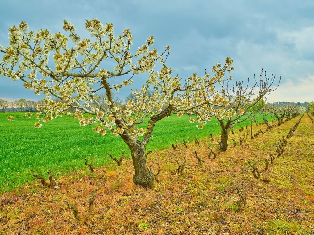 Photograph by Рустем Хайруллин