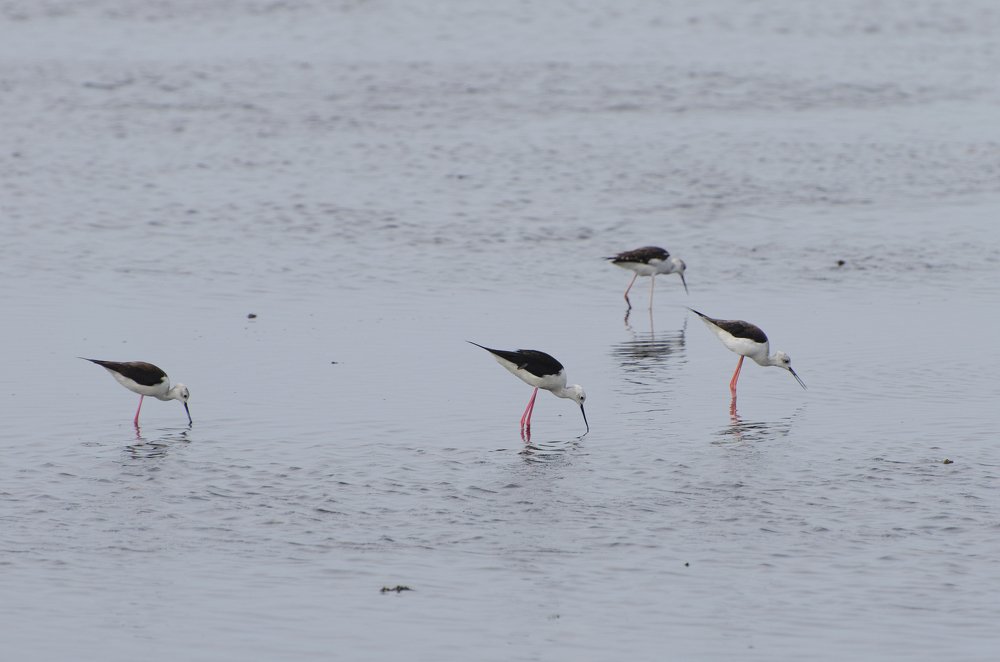 Photograph by Stefano