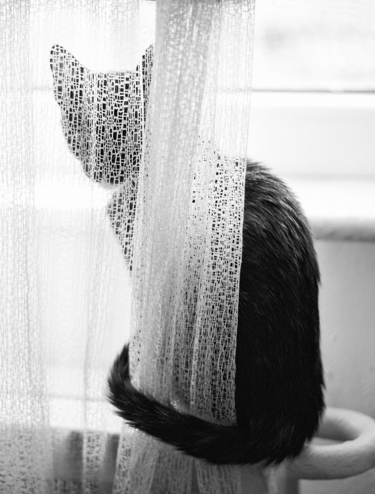 Photograph by Toth Csongor