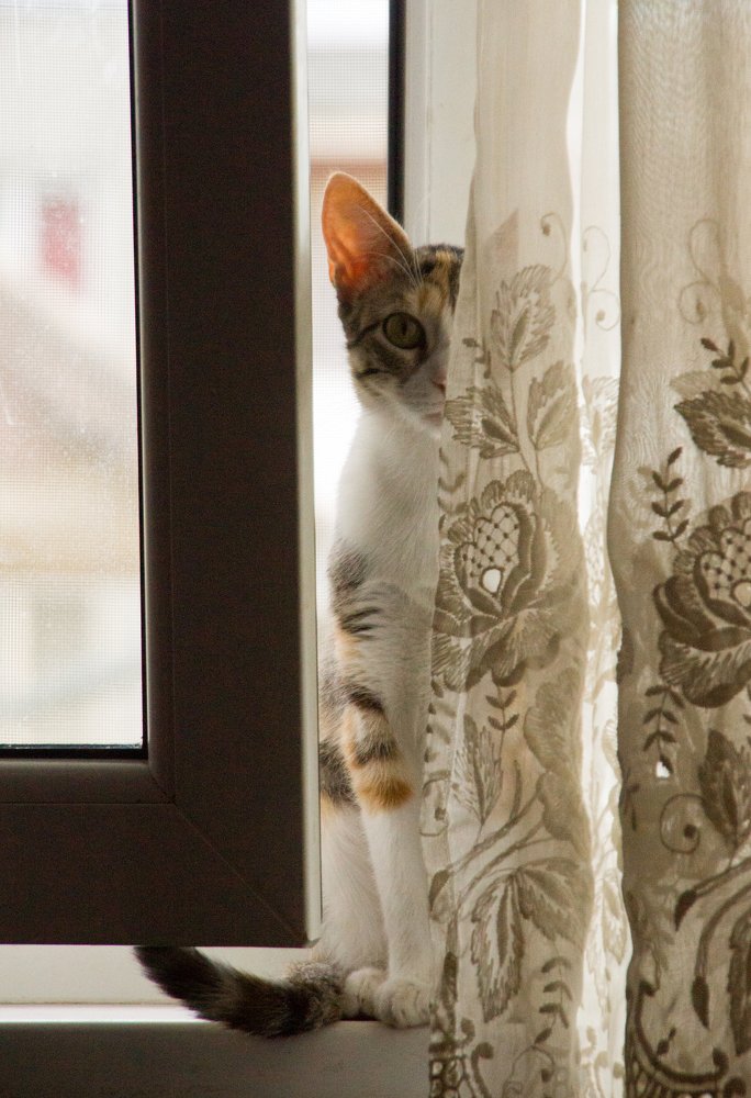 Photograph by Toth Csongor