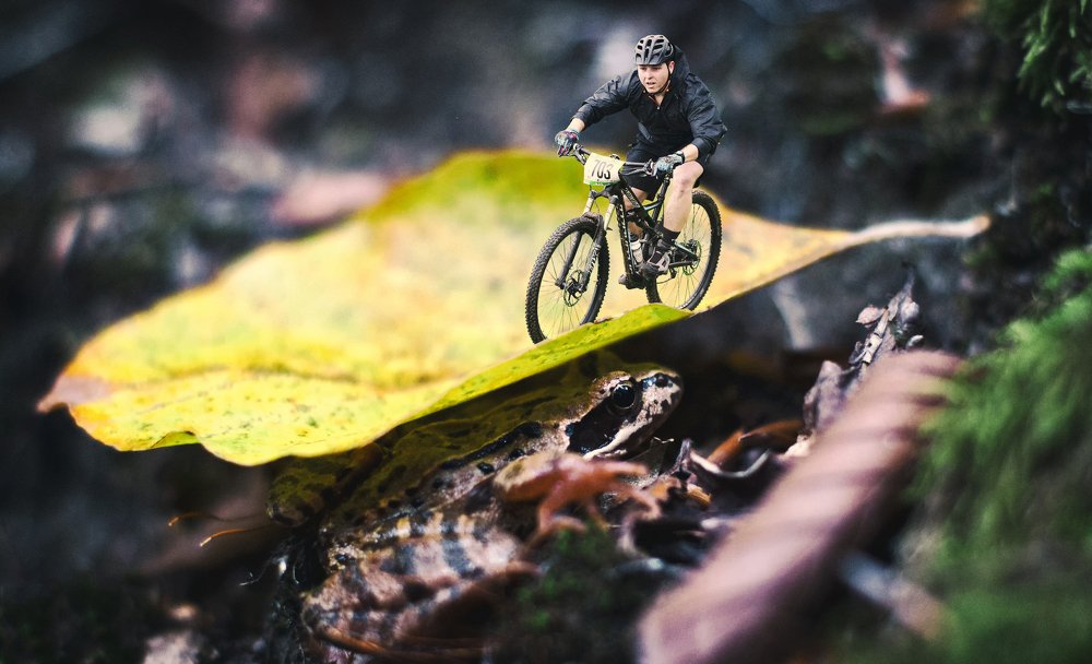 Photograph by Toth Csongor