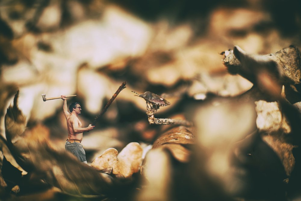 Photograph by Toth Csongor