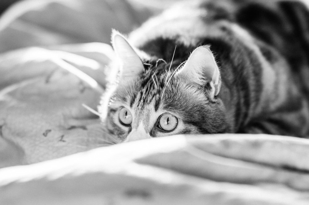 Photograph by Andrey Matveenko