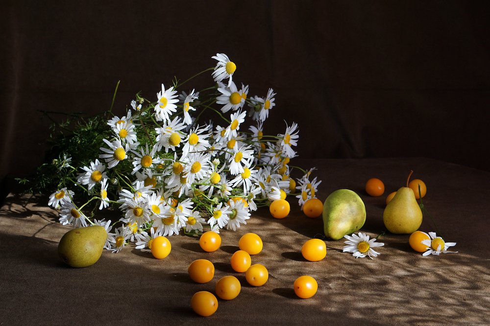 Photograph by Светлана Давыдова