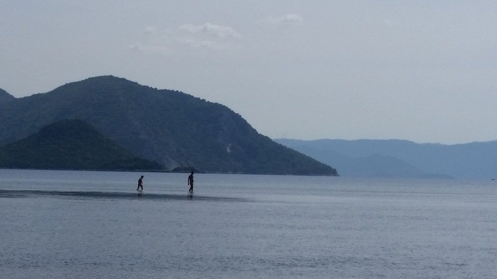 Фотография автора Ines Miljan Popovic