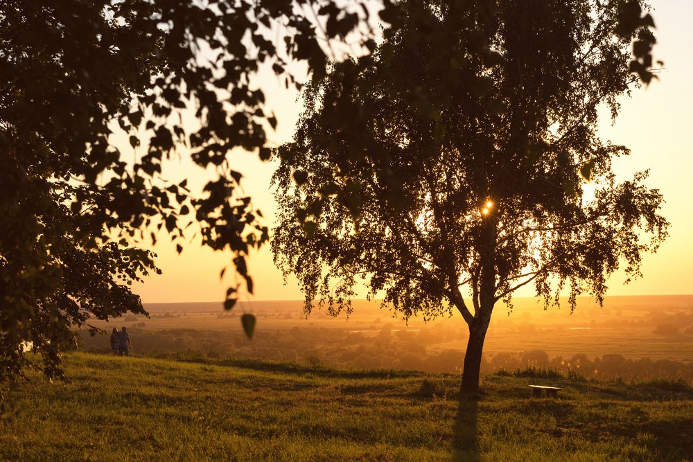 Photograph by Николай Сигаев