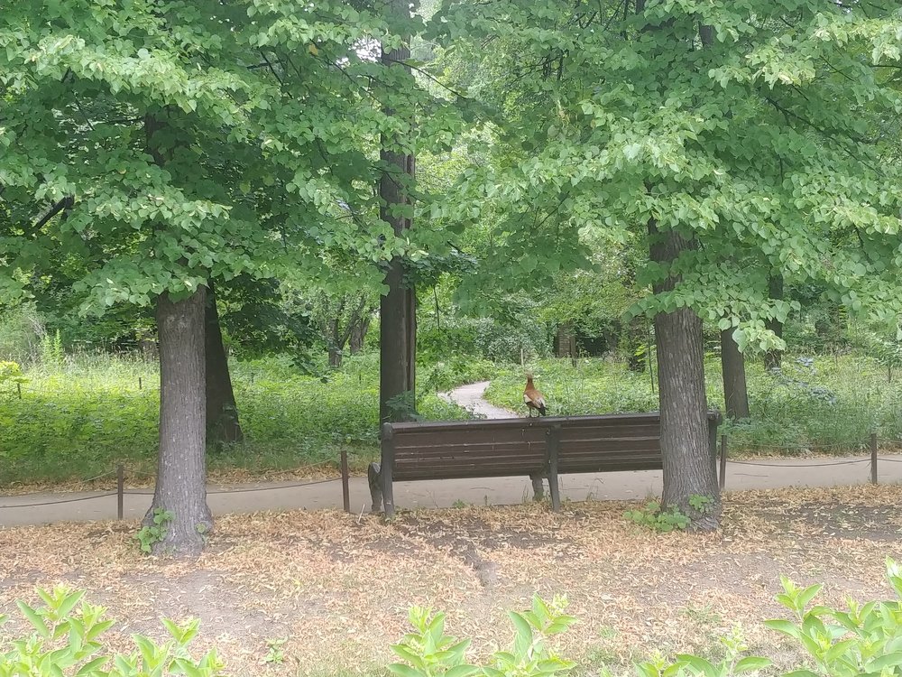 Photograph by Elena Chandran