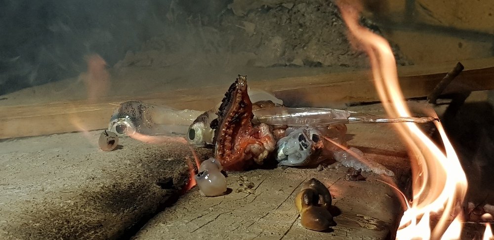 Фотография автора Ines Miljan Popovic