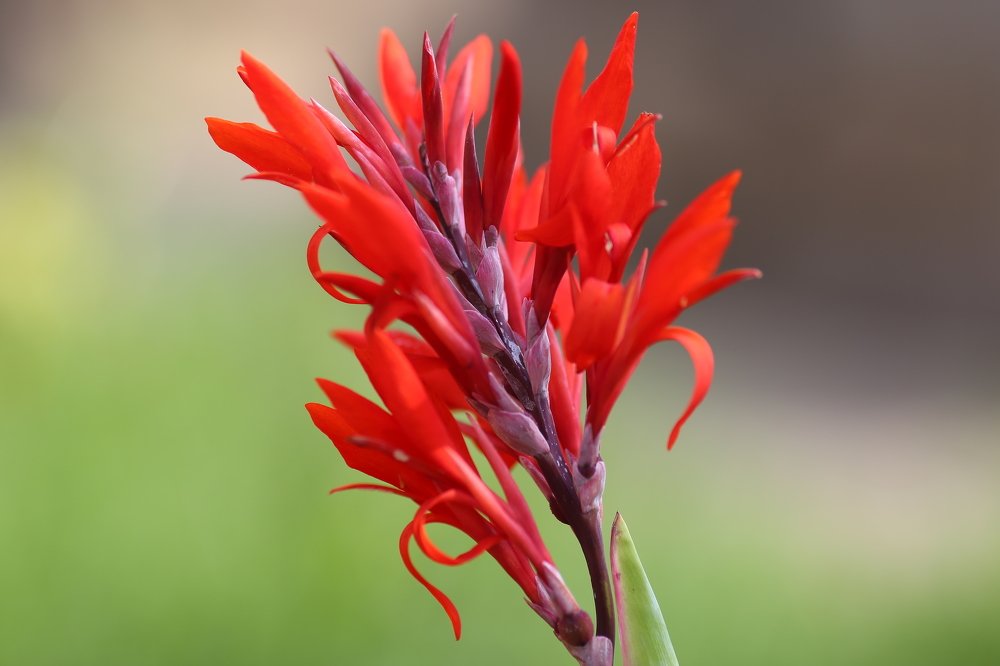 Photograph by Анна Игошина